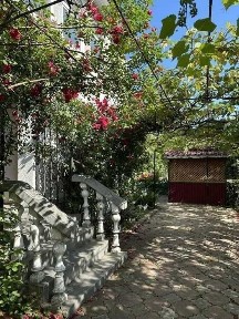 Будинок 215 м2 та земельна ділянка 20 соток в Новоселиці