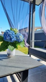 Київська область, Зазим'я