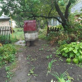 Продаж Окремого будинку селі Стайки, Обухівського