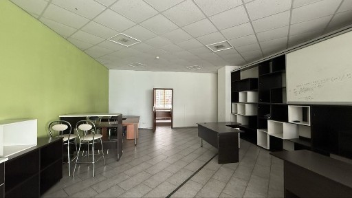 Запорізька область, Запоріжжя, Вознесенівський