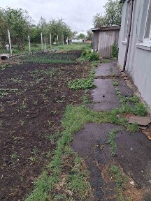 Харківська область, Степова Новоселівка