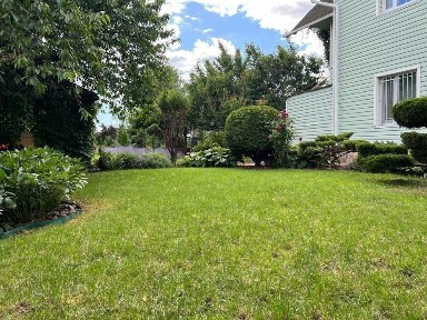 Київська область, Путрівка