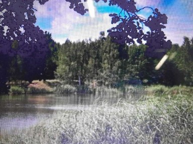 Дача 0.0545 га с. Ровжі, Київського моря.