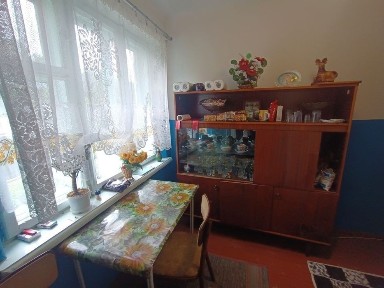 Продам 1-кімнатну квартиру на землі у селі Любомирка, 25 км від Рівног