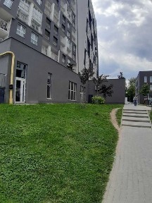 Львівська область, Львів, Франківський