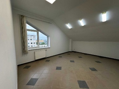 Львівська область, Львів, Шевченківський