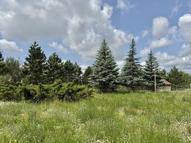 Будинок з озером та з підсобними будівлями біля лісу. Мотижин.