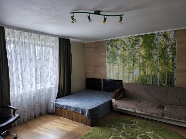 Київська область, Бровари