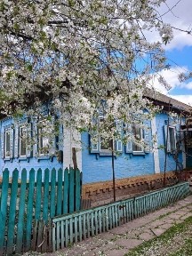 Будинок в с. Заводське (6 км від Конотопу)