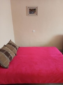 Закарпатська область, Берегове