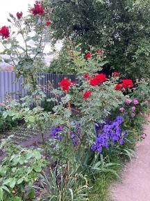 Продам газифікований будинок в м. Канів, 128 кв. м