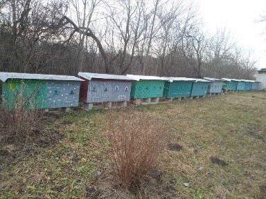 Будинок з пасікою в Кам'янець-Подільському р-ні