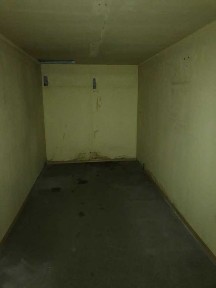 Київська область, Київ, Голосіївський