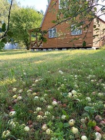 Дача /будинок деревʼяний двоповерховий