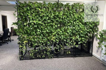 Оренда приміщення по вул. Патріарха Любомира Гузара