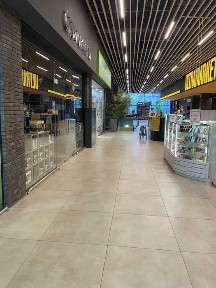 Київська область, Київ, Шевченківський