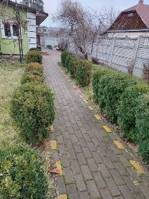 Київська область, Ворзель