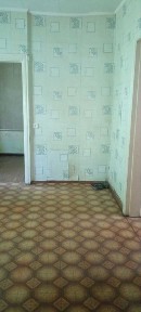 Срочно продам дом Бабаи. (169114)