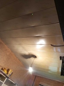 Харківська область, Харків, Шевченківський