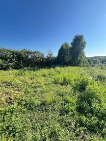 Продам цегляний будинок біля Свірзького замку