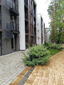 Київська область, Київ, Оболонський