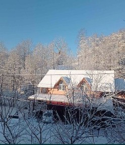 Відпочинок в Карпатах