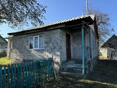 Продам будинок с. Дружне