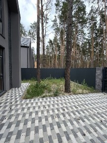 Київська область, Буча