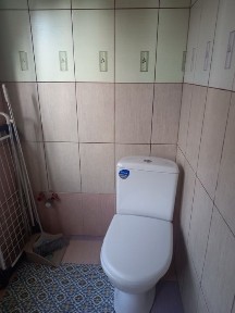 Здам будинок Нові Петрівці