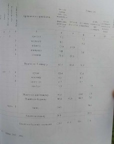 Продам двоповерховий будинок у Полтаві