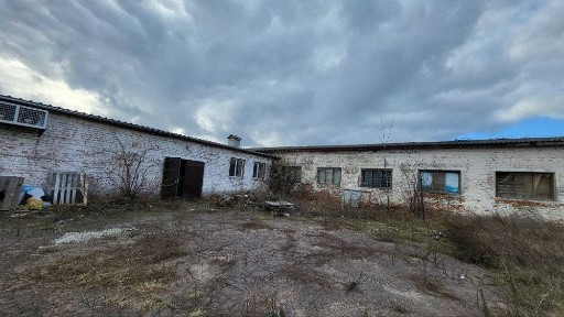 Чернігівська область, Новий Білоус