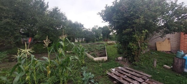 Продам дом в Солоницевском Отг (п. Ольшаны)