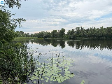 Продам дві ділянки у лісі з виходом до р. Орель, Царичанський район.