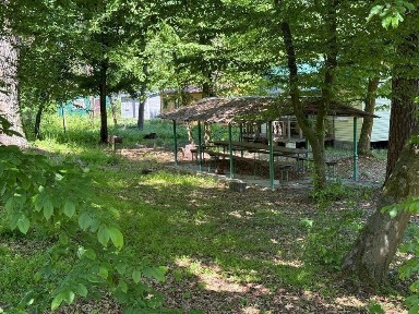 Черкаська область, Сокирне