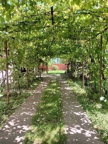 Готовий бізнес в Косино, будинок для проживання та здачі відпочиваючим