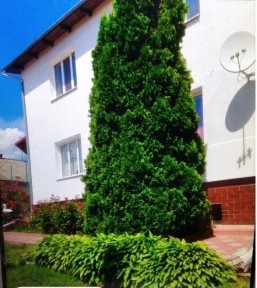 Продається будинок з бомбосховищем в мальовничому місті від власника