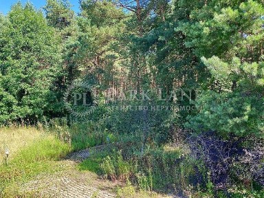 Продаж будинку під лісом. Проців/Жереб'ятин. 25 соток землі.