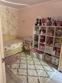 Запорізька область, Запоріжжя, Вознесенівський