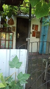 Здається будинок