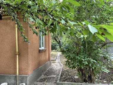 Київська область, Київ, Печерський