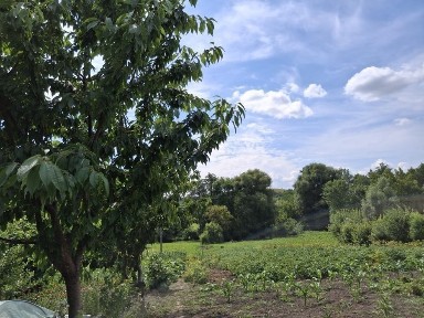 С. Семенівка продаж будинку з земельною ділянкою