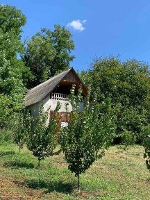 фруктовий садок 47 cот+ будинок