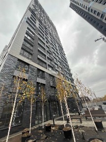 Київська область, Київ, Шевченківський