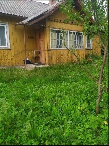 Будинок з городом 35 соток Нові Стрілища