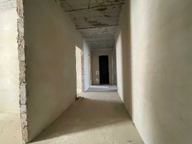 Київська область, Бориспіль