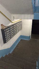 Запорізька область, Запоріжжя, Шевченківський