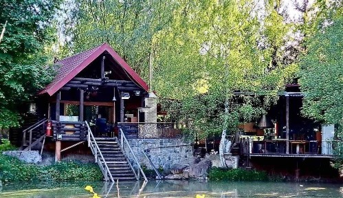 Будинок, 150сот. власне озеро с. Здорівка Васильківський Київська обл.