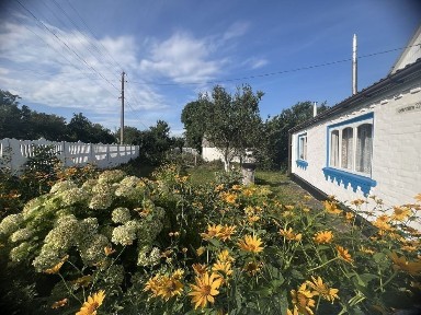 Київська область, Лосятин