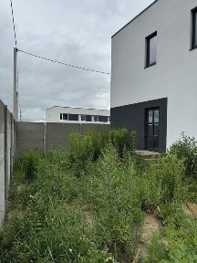 Рівненська область, Рівне