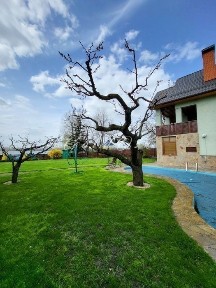 Київ, Голосіївський, Садовая 1